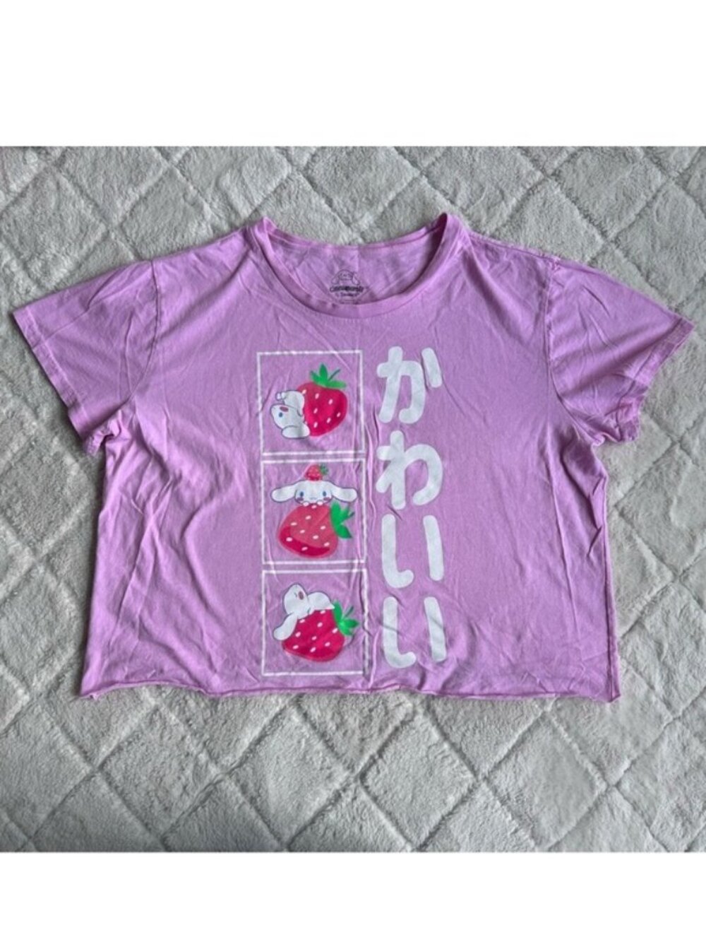 Cinnamoroll | Cropped Strawberry Kawaii Graphic T-Shirt | Size Large - Picture 2 of 10